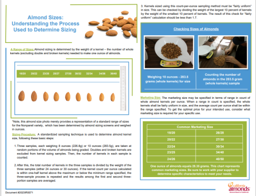 Almond Sizes: Understanding the Process Used to Determine Sizing