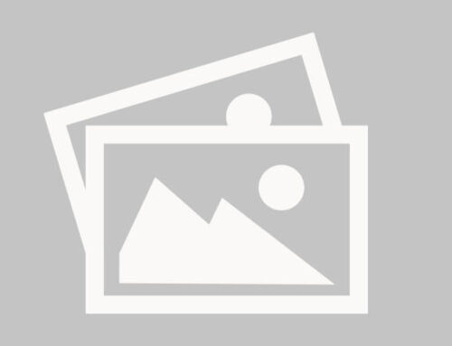 Research Database (2021 to Present)