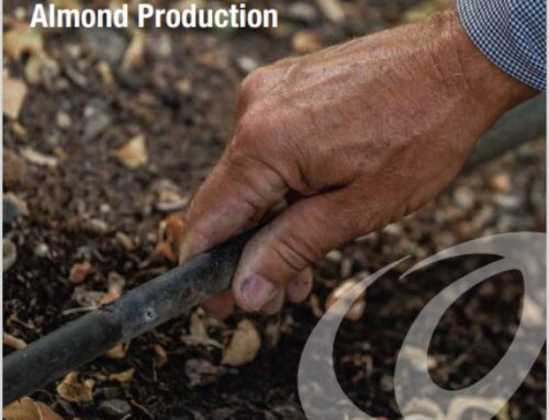 Comparing ETa and ETc for Irrigation Management in Almond Production