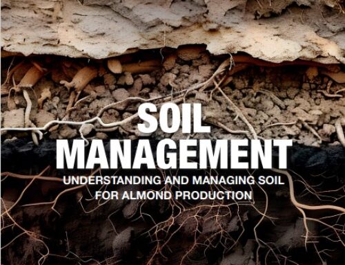 Soil Management: Understanding and Managing Soil for Almond Production